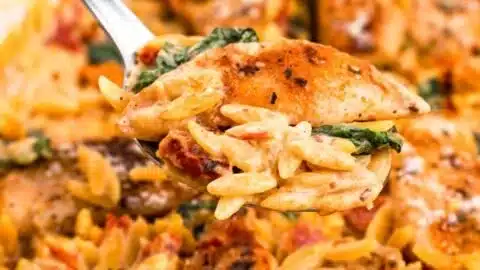 Creamy tomato chicken orzo with sun-dried tomatoes served in a bowl.